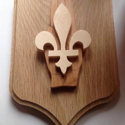 BLASON SALUT SCOUT